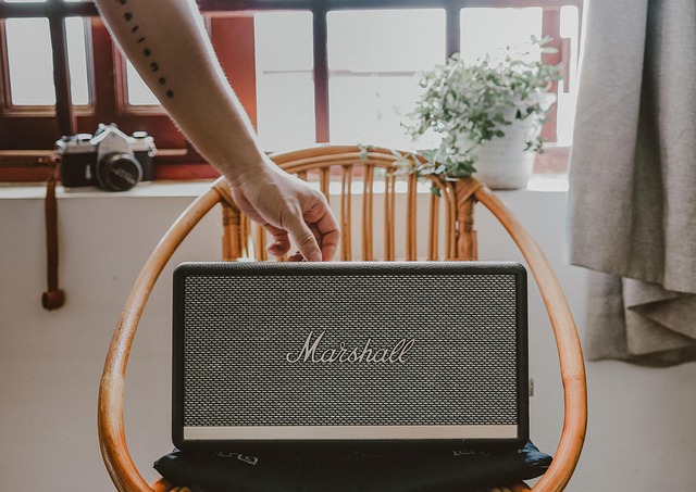 Featured image of post Marshall's Acton IV and Stanmore IV Speakers Come With Customizable Buttons