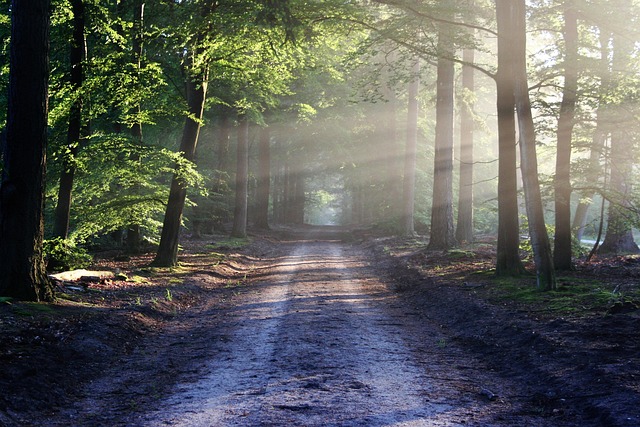 Featured image of post NASA Transfers Maryland Woodland to US Fish and Wildlife Service in Landmark Conservation Move