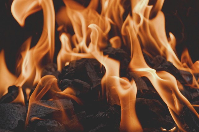 Featured image of post White House Deletes Thousands of Energy Conservation Webpages Amid Historic US Heatwave